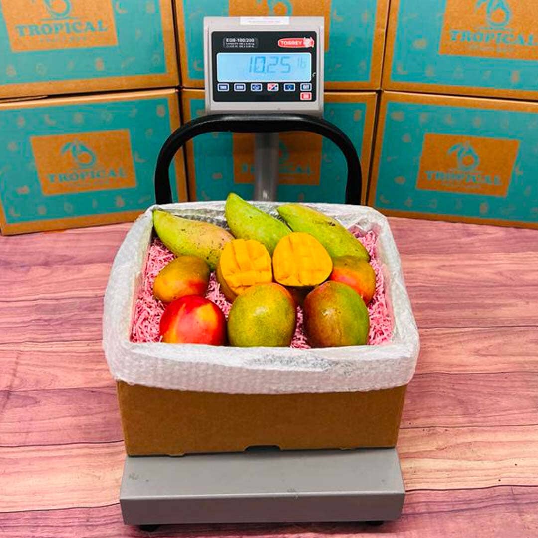 Mango Medley Box Specialty Box Tropical Fruit Box 