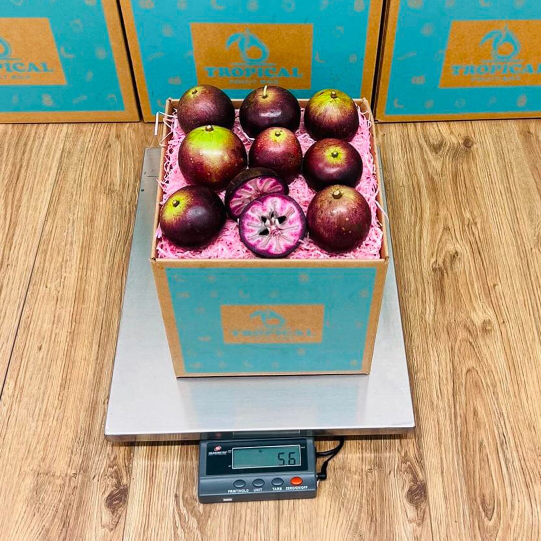 Star Apple | Caimito Box Produce Box Tropical Fruit Box 