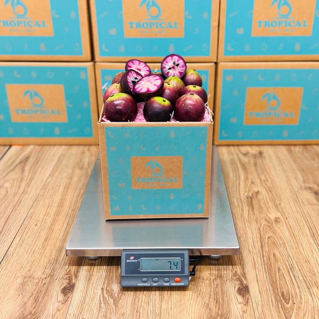 Star Apple | Caimito Box Produce Box Tropical Fruit Box 