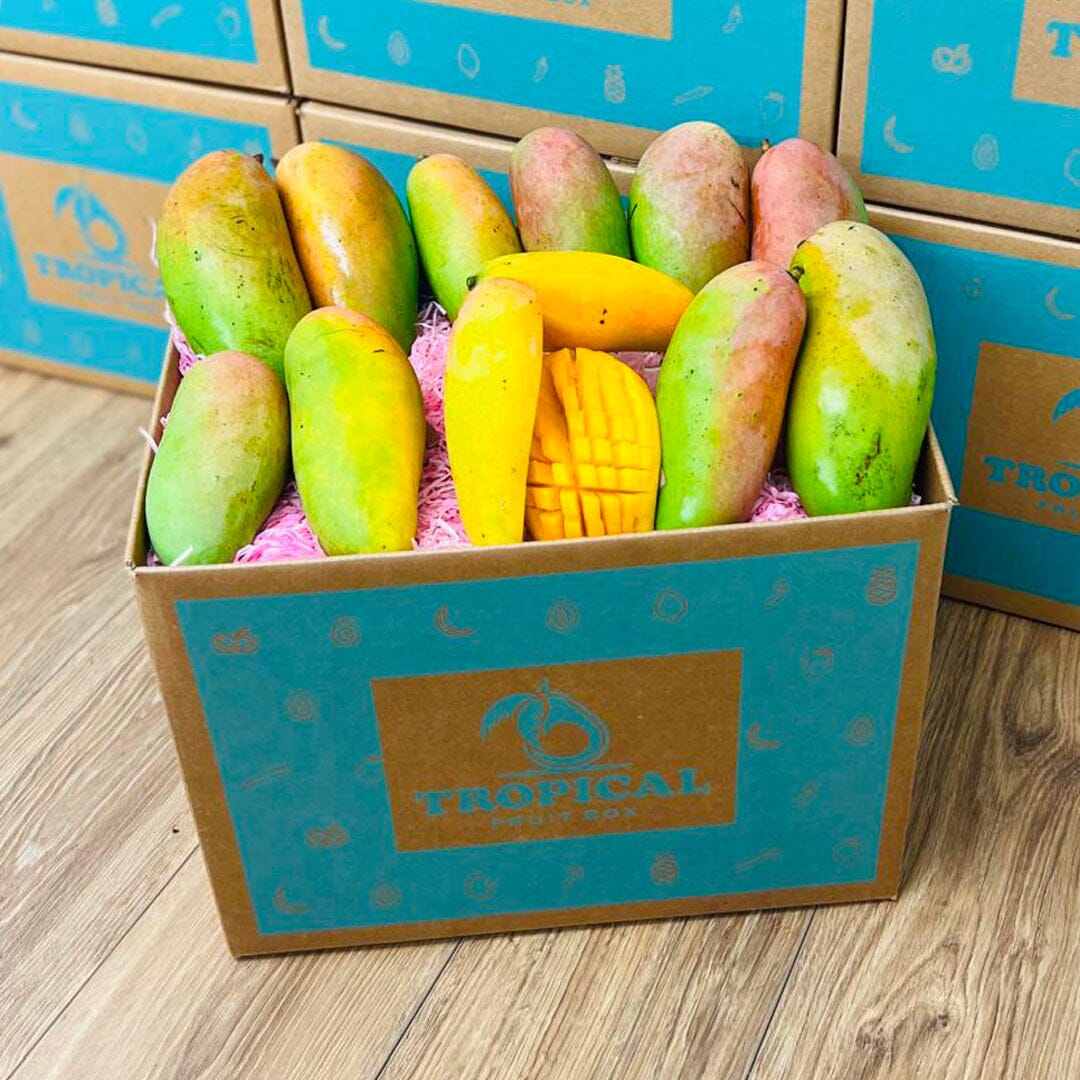 Rainbow Mango Box - Large (8 Pounds) - Tropical Fruit Box