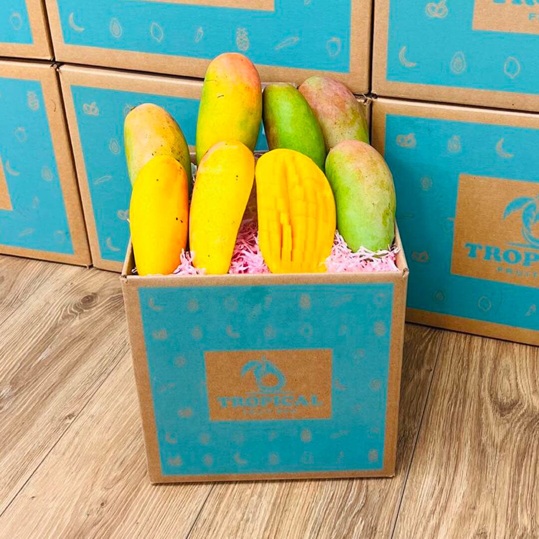 Rainbow Mango Box - Large (8 Pounds) - Tropical Fruit Box