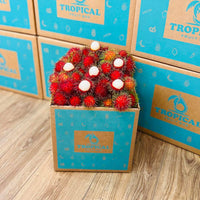 Thumbnail for Rambutan Box GoogleON Tropical Fruit Box 