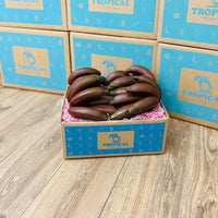 Thumbnail for Red Banana Box GoogleON Tropical Fruit Box 