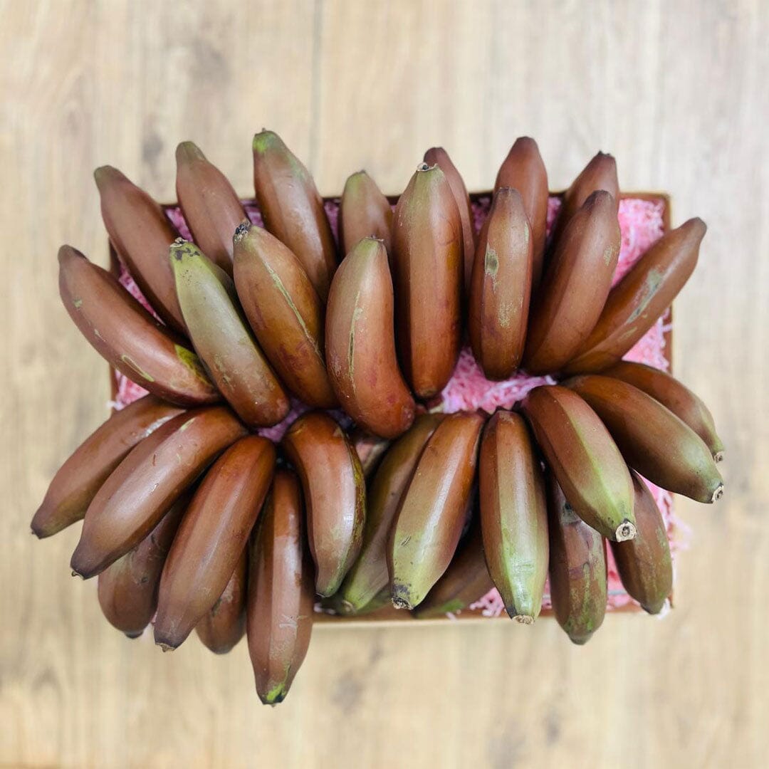 Red Banana Box GoogleON Tropical Fruit Box 