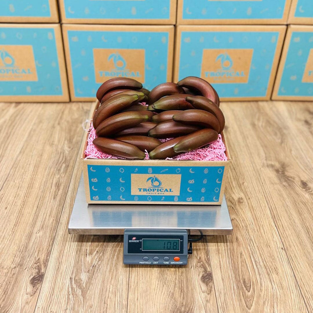 Red Banana Box GoogleON Tropical Fruit Box 