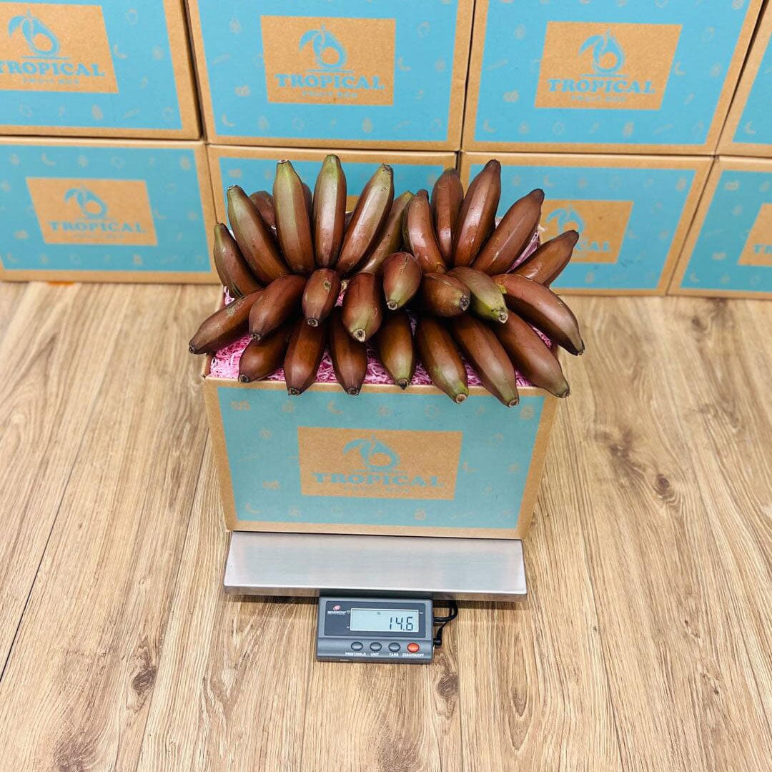 Red Banana Box GoogleON Tropical Fruit Box 