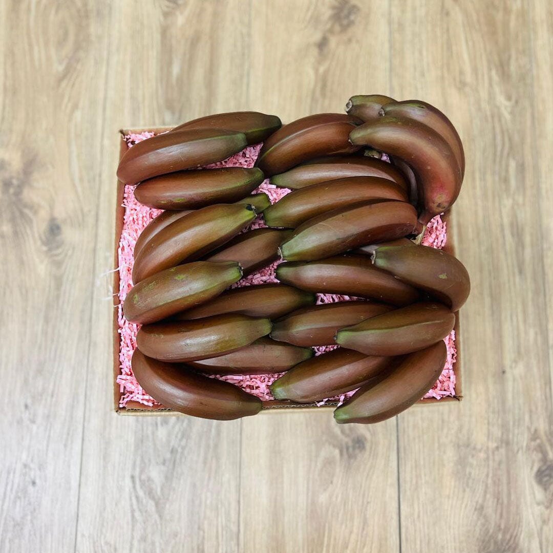 Red Banana Box GoogleON Tropical Fruit Box 