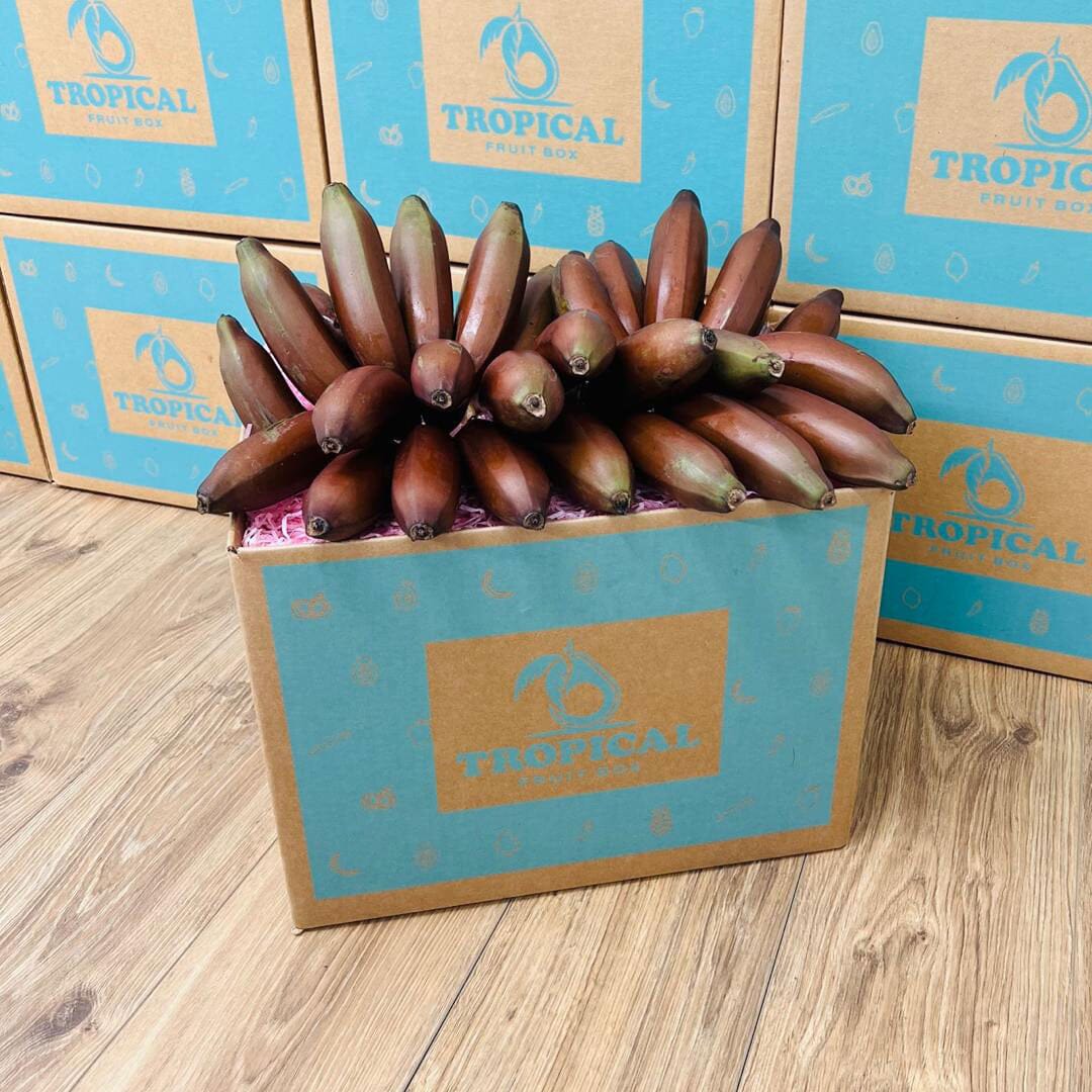 Red Banana Box GoogleON Tropical Fruit Box 