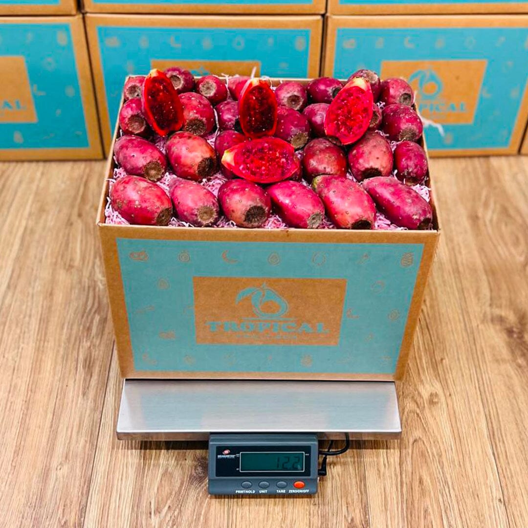 Red Cactus Pear | Prickly Pear Box Produce Box Tropical Fruit Box 