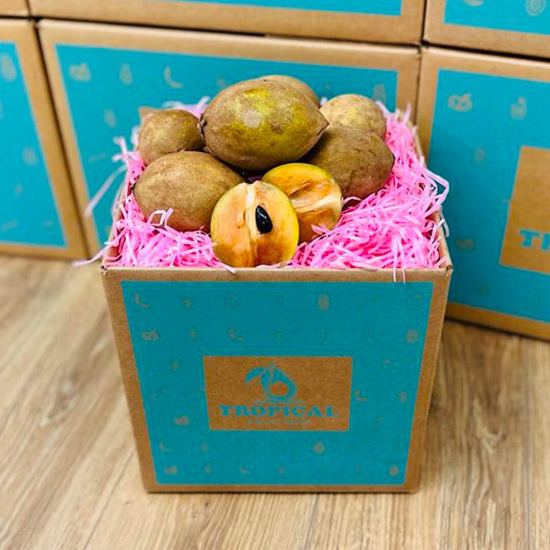 Fresh Sapodilla | Zapote | Chico Box Specialty Box Tropical Fruit Box Small (3lbs) 