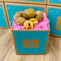 Thumbnail for Fresh Sapodilla | Zapote | Chico Box Specialty Box Tropical Fruit Box Small (3lbs) 