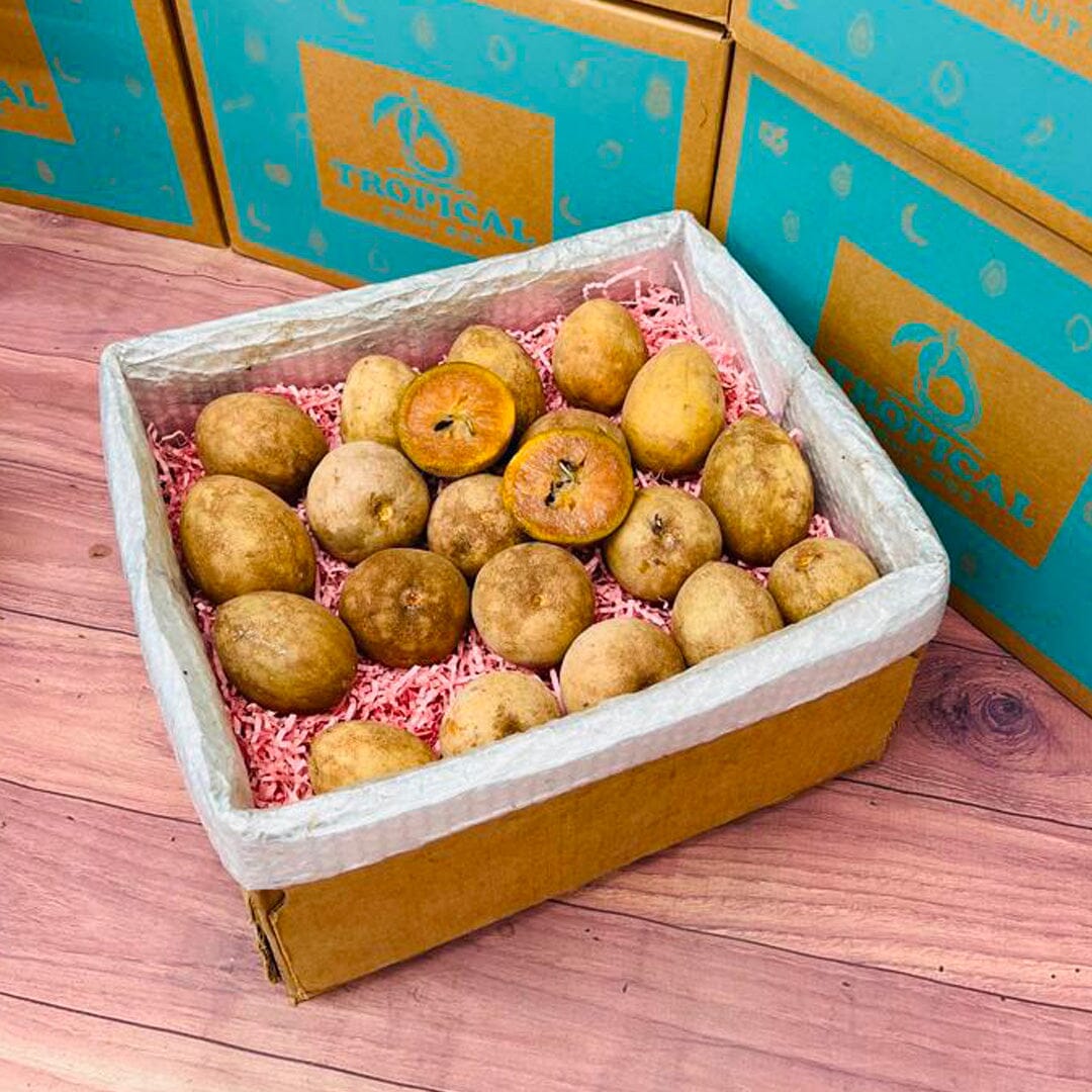 Fresh Sapodilla | Zapote | Chico Box Specialty Box Tropical Fruit Box Large (8 Pounds) 