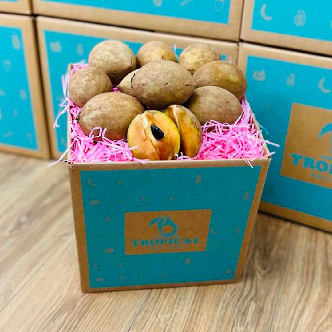 Fresh Sapodilla | Zapote | Chico Box Specialty Box Tropical Fruit Box Regular (5 lbs) 
