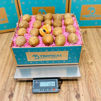 Thumbnail for Fresh Sapodilla | Zapote | Chico Box Specialty Box Tropical Fruit Box 