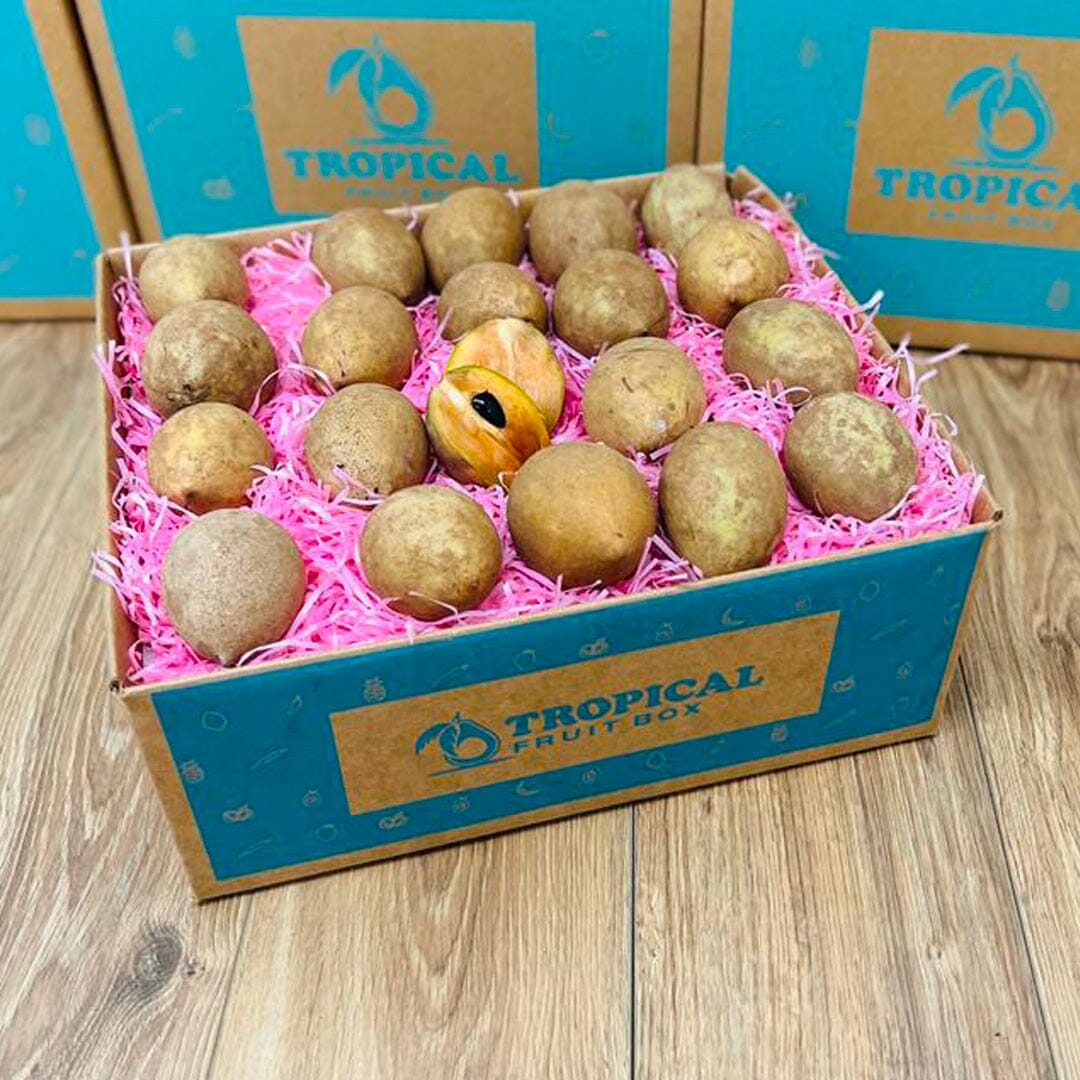 Fresh Sapodilla | Zapote | Chico Box Specialty Box Tropical Fruit Box Large (8 lbs) 