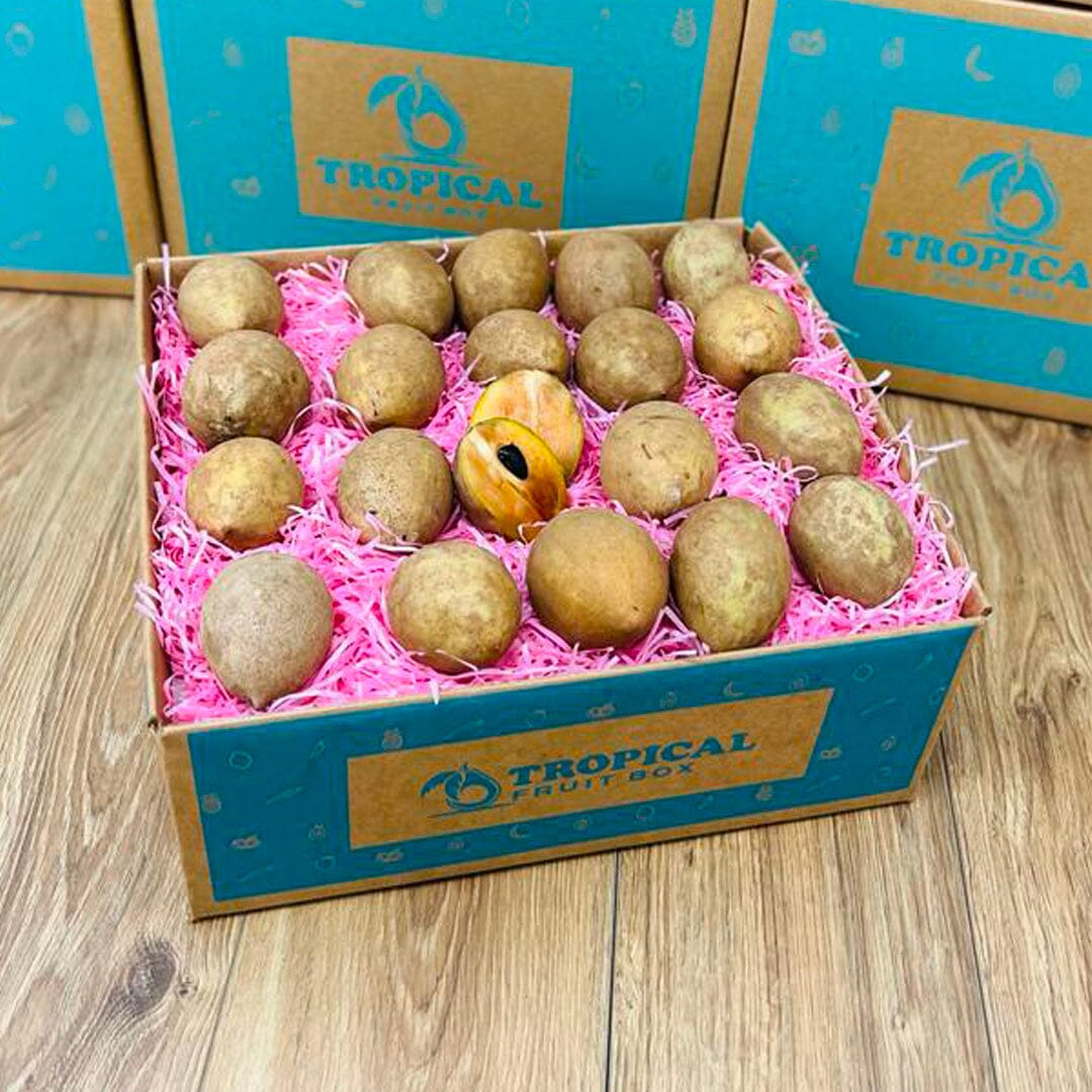 Fresh Sapodilla | Zapote | Chico Box Specialty Box Tropical Fruit Box 