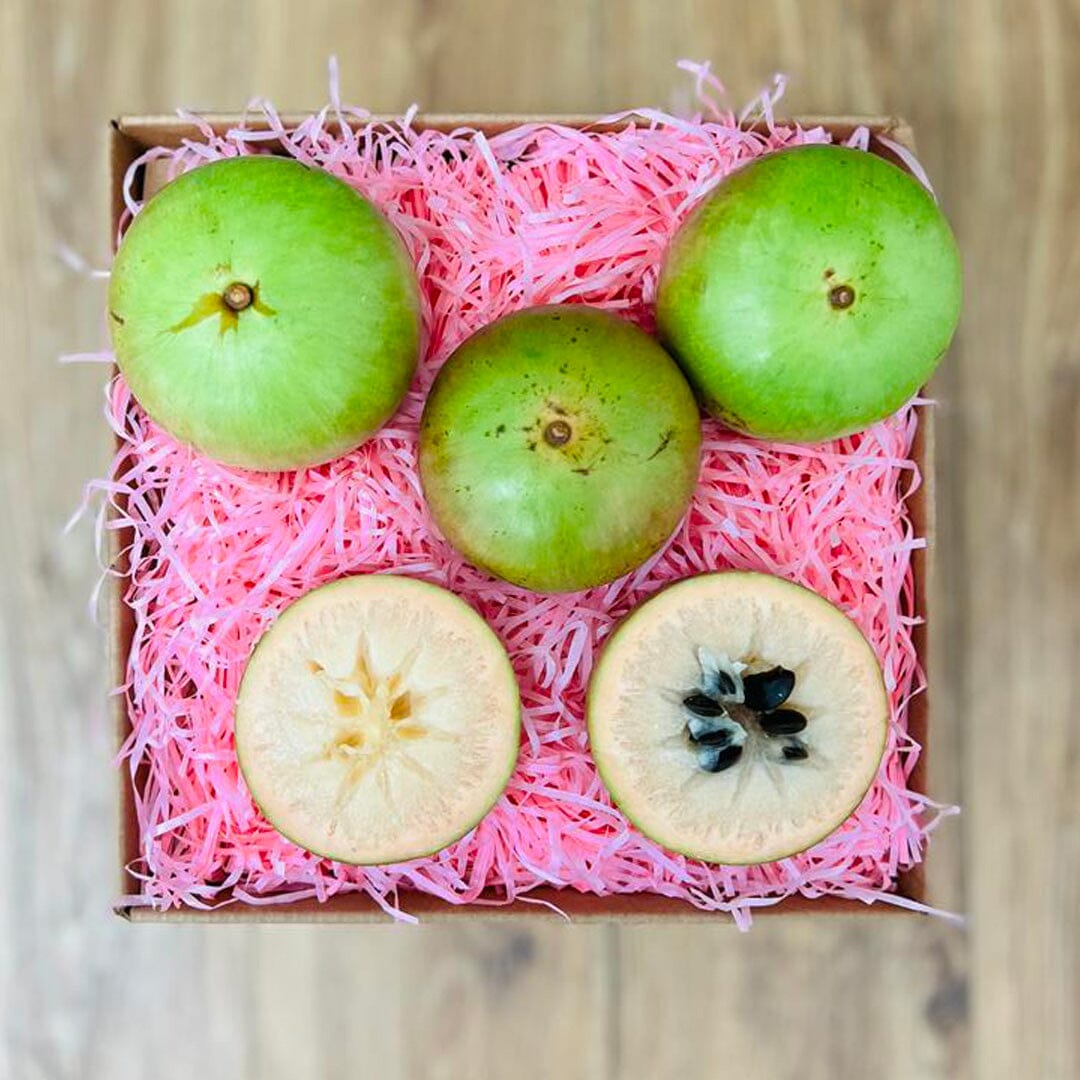 Star Apple | Caimito Box Produce Box Tropical Fruit Box Small (3 Pounds) 