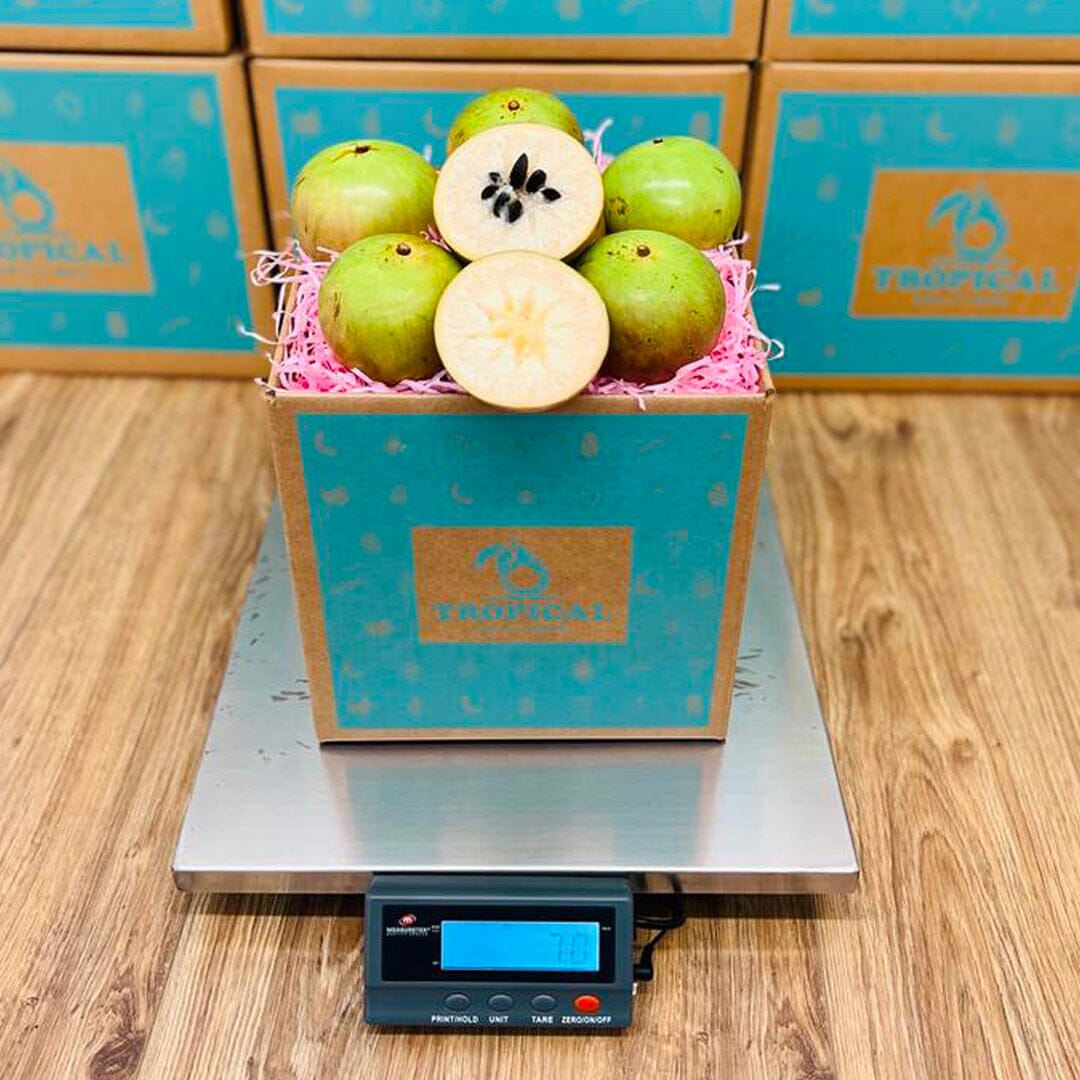 Star Apple | Caimito Box Produce Box Tropical Fruit Box 