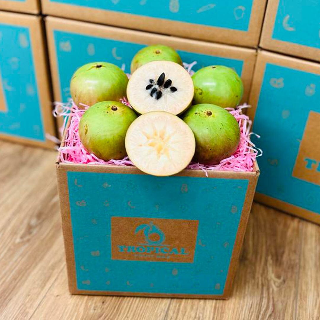 Star Apple | Caimito Box Produce Box Tropical Fruit Box 