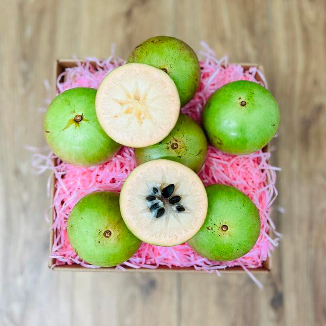 Star Apple | Caimito Box Produce Box Tropical Fruit Box Regular (5 Pounds) 