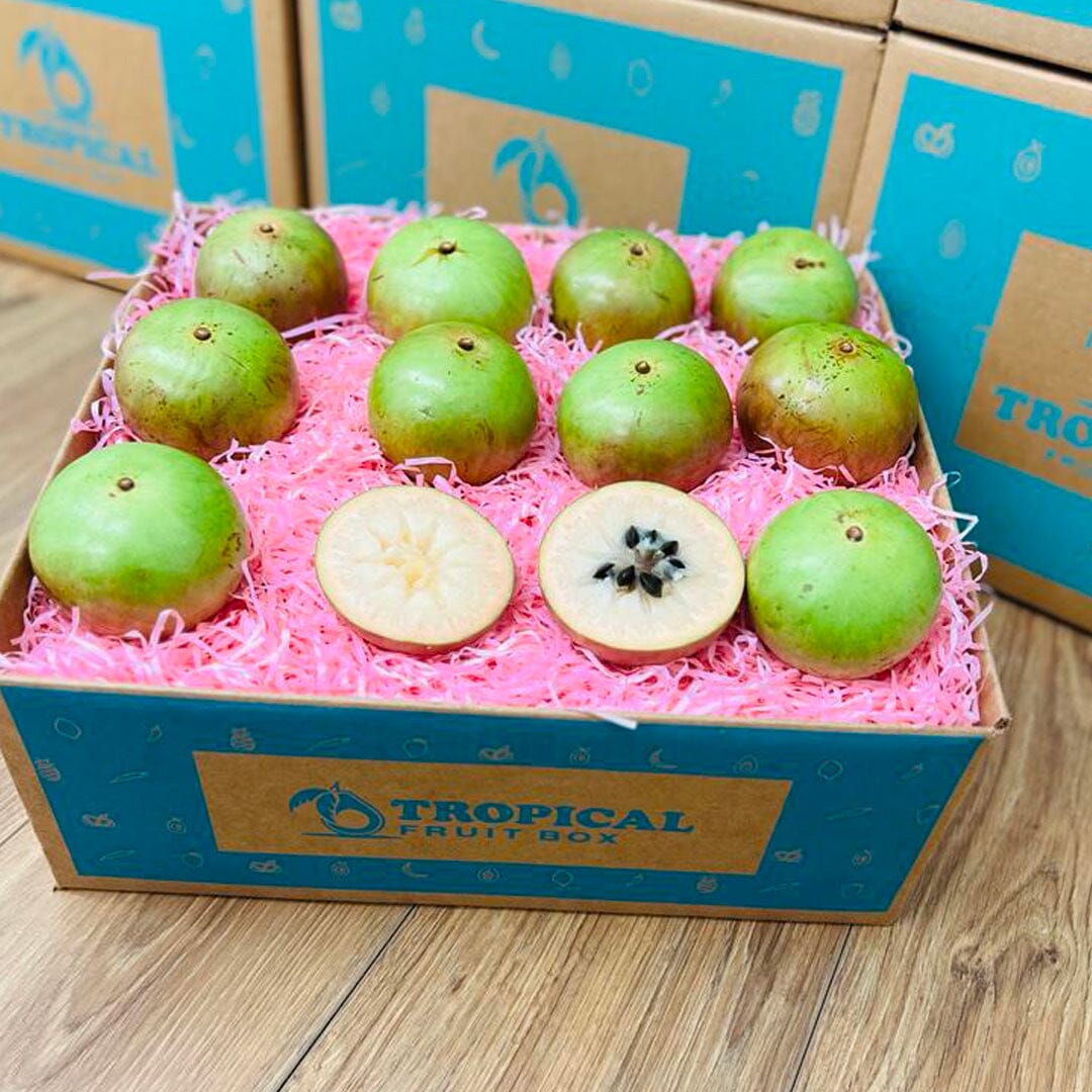 Star Apple | Caimito Box Produce Box Tropical Fruit Box 