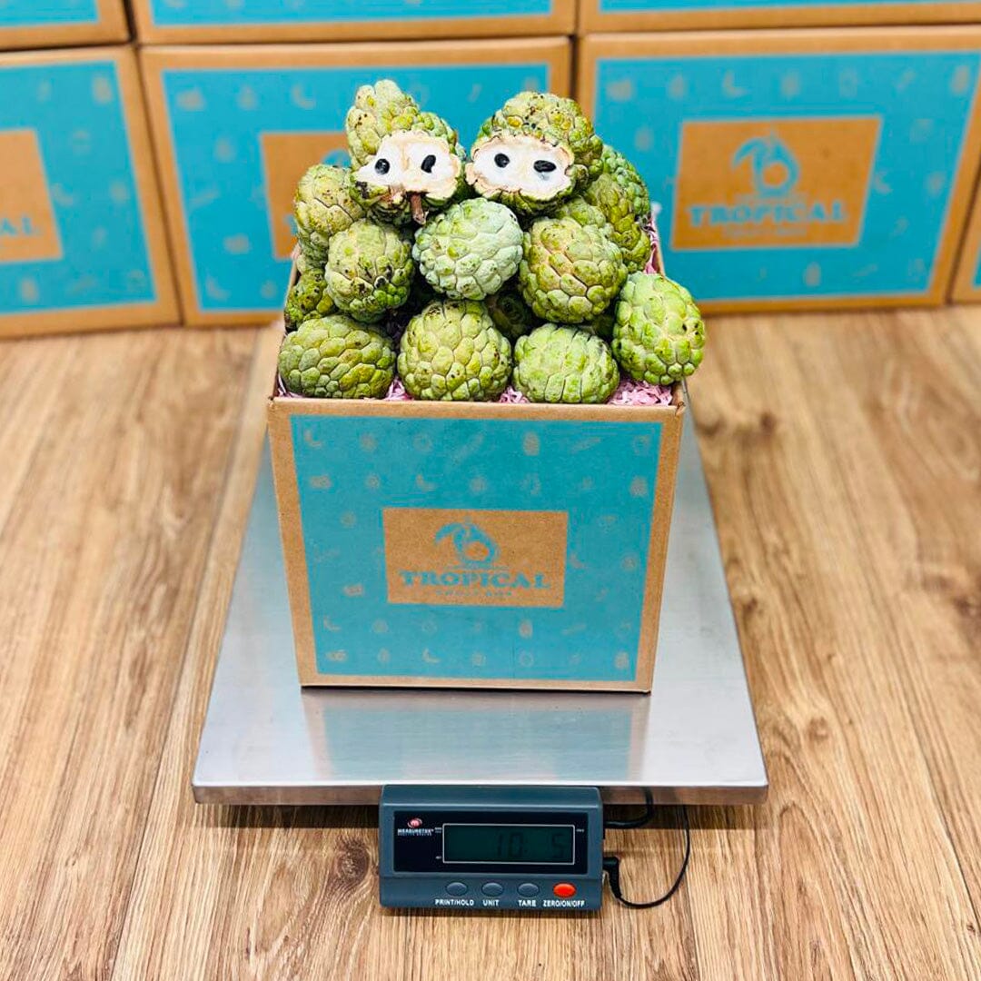 Fresh Sugar Apple | Sweet Sop | Anon Box Specialty Box Tropical Fruit Box 