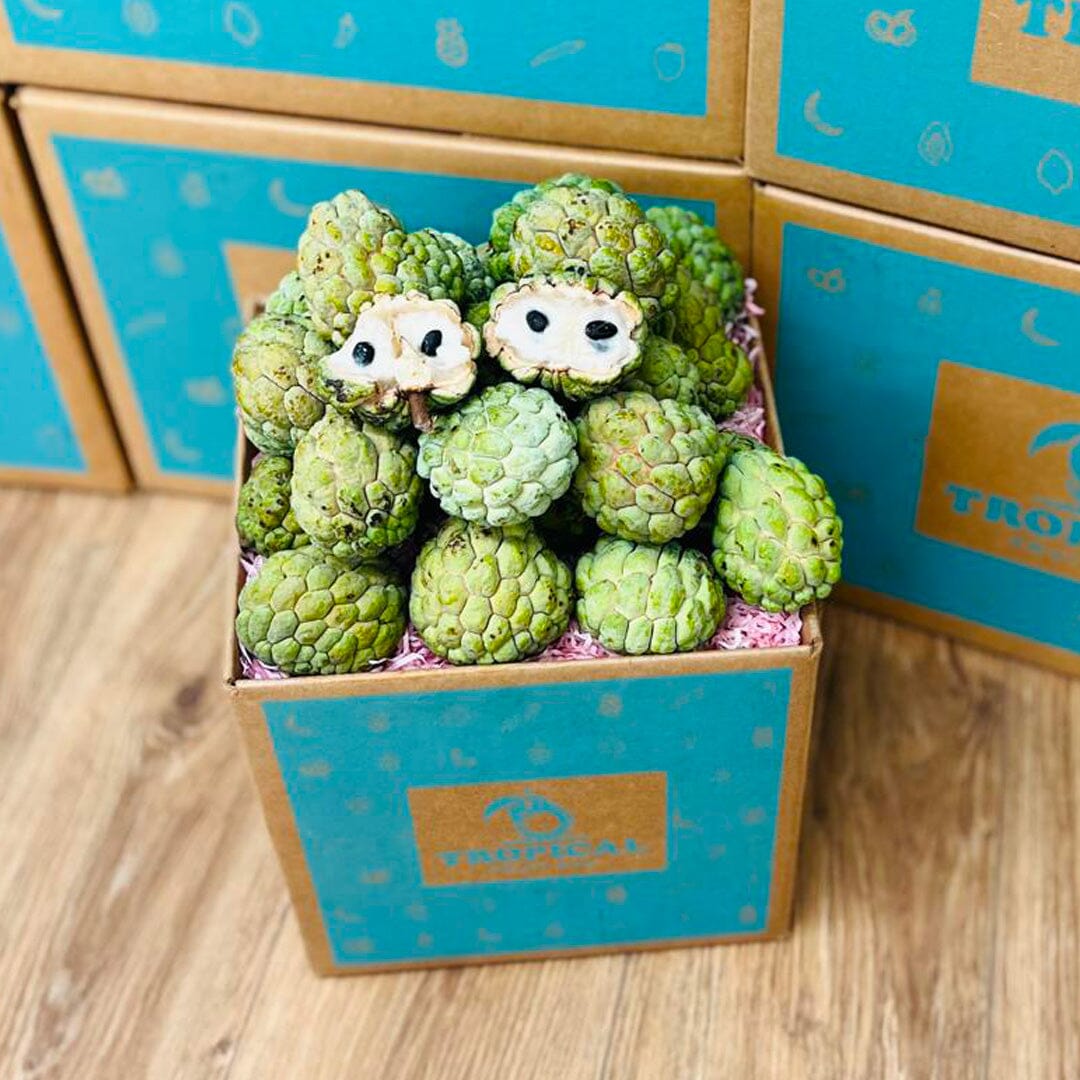 Fresh Sugar Apple | Sweet Sop | Anon Box Specialty Box Tropical Fruit Box 