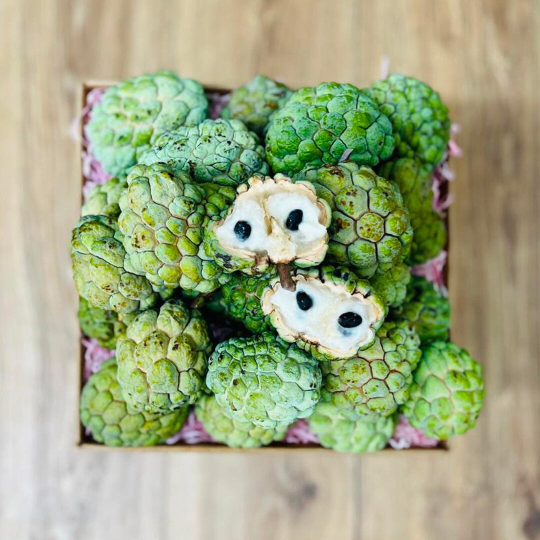 Fresh Sugar Apple | Sweet Sop | Anon Box Specialty Box Tropical Fruit Box Large (8 Pounds) 