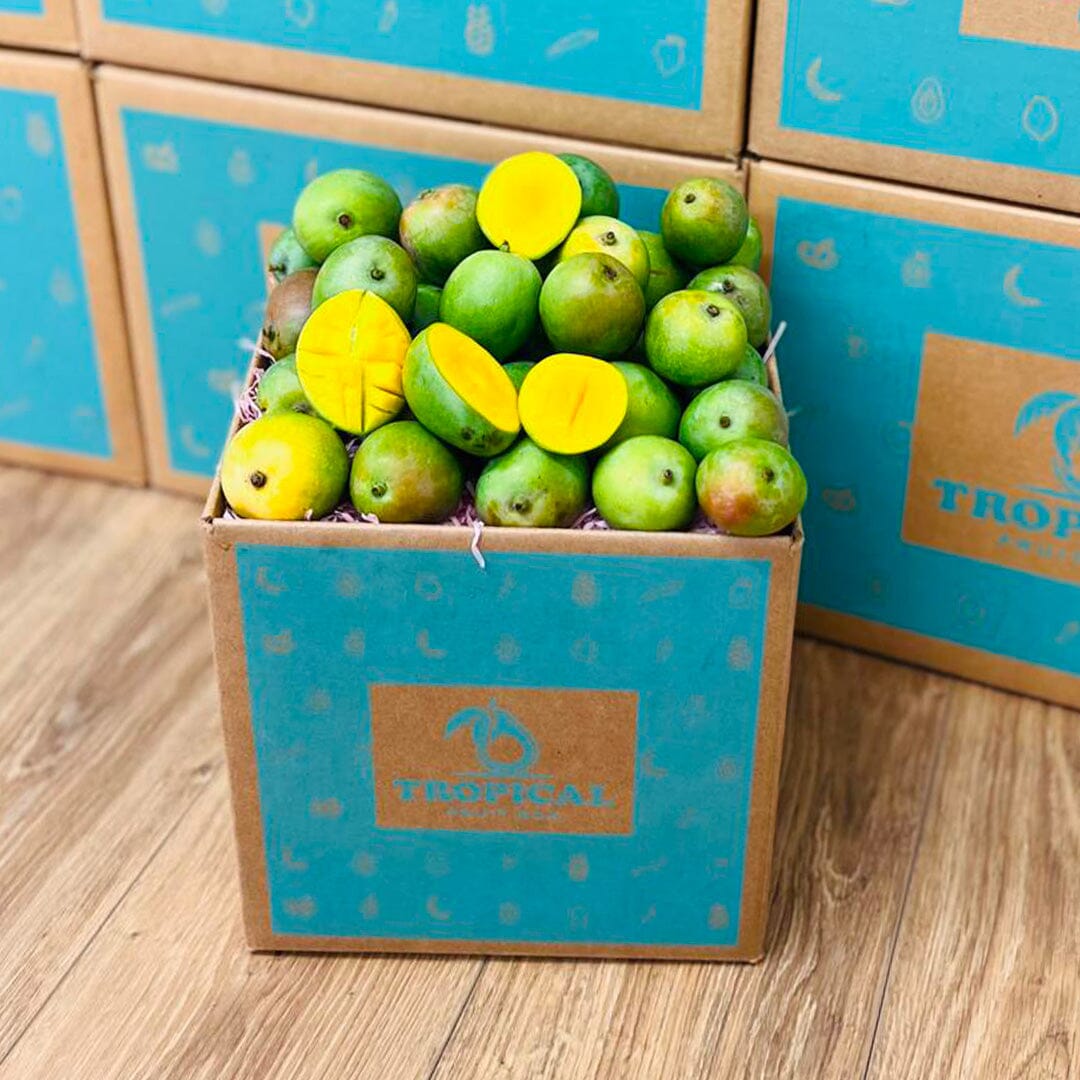 Sugar Mango Box GoogleON Tropical Fruit Box Medium (5 lbs) 