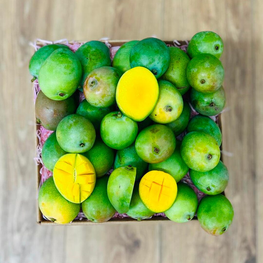 Sugar Mango Box - Small (3 lbs) - Tropical Fruit Box