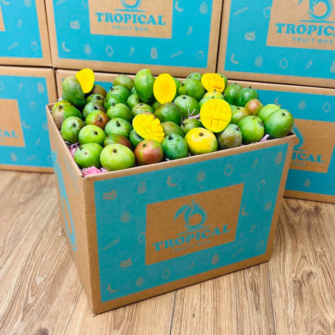 Sugar Mango Box GoogleON Tropical Fruit Box Large (8 lbs) 