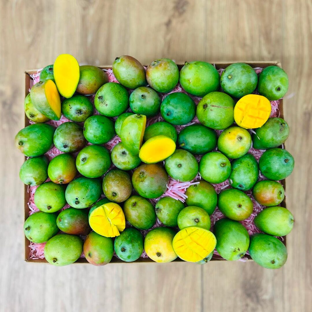 Sugar Mango Box GoogleON Tropical Fruit Box 