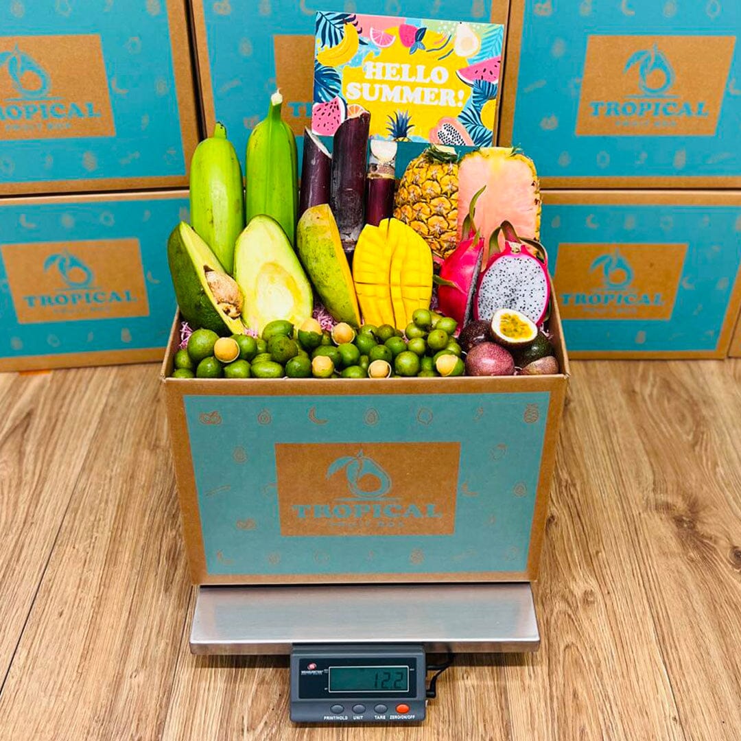 TropiSummer Fruit Box Specialty Box Tropical Fruit Box 