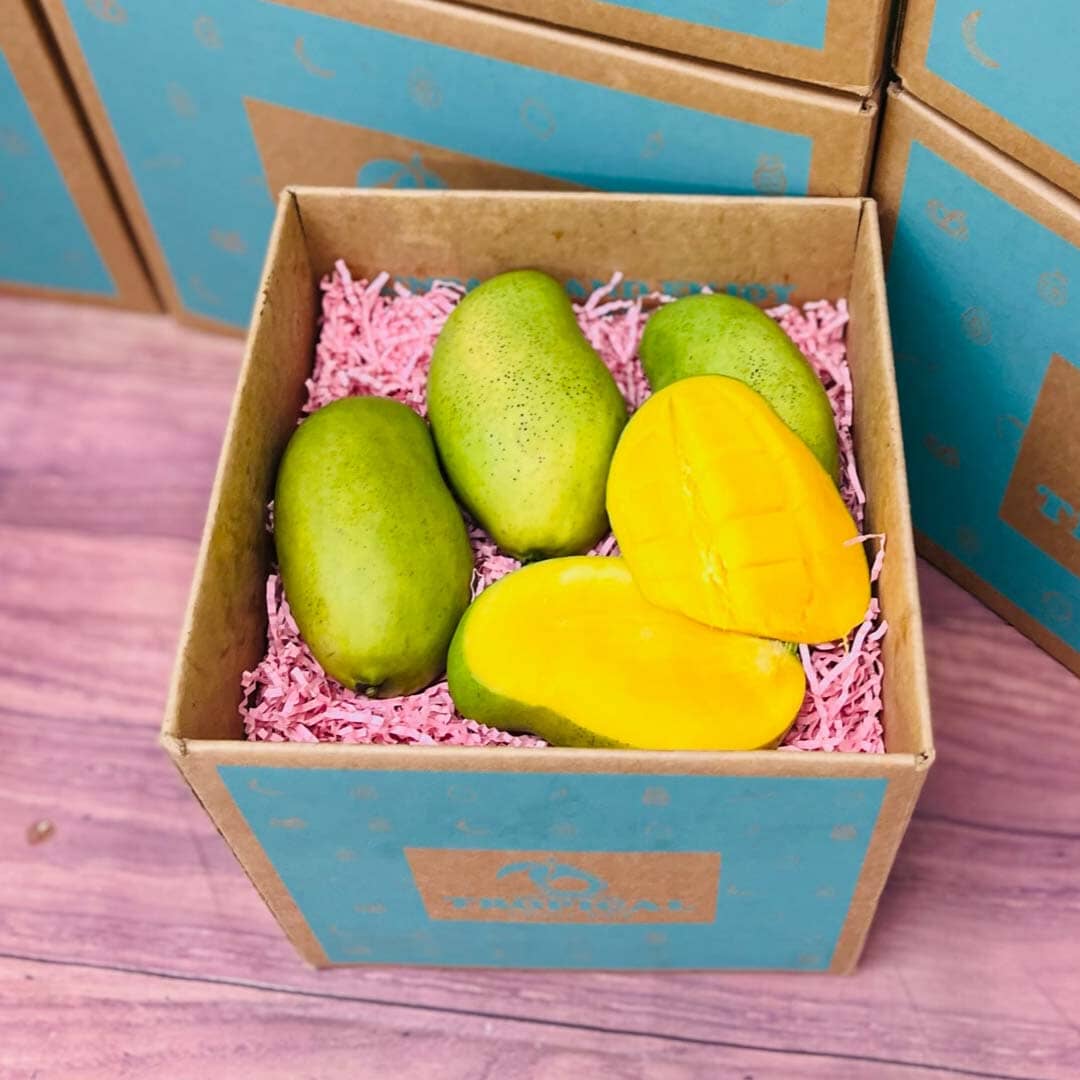 The Superb Francis Mango Box Produce Box Tropical Fruit Box Small (3 Pounds) 