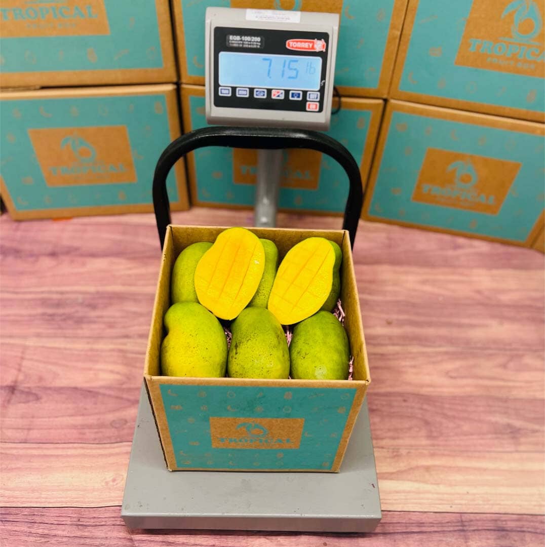 The Superb Francis Mango Box Produce Box Tropical Fruit Box 