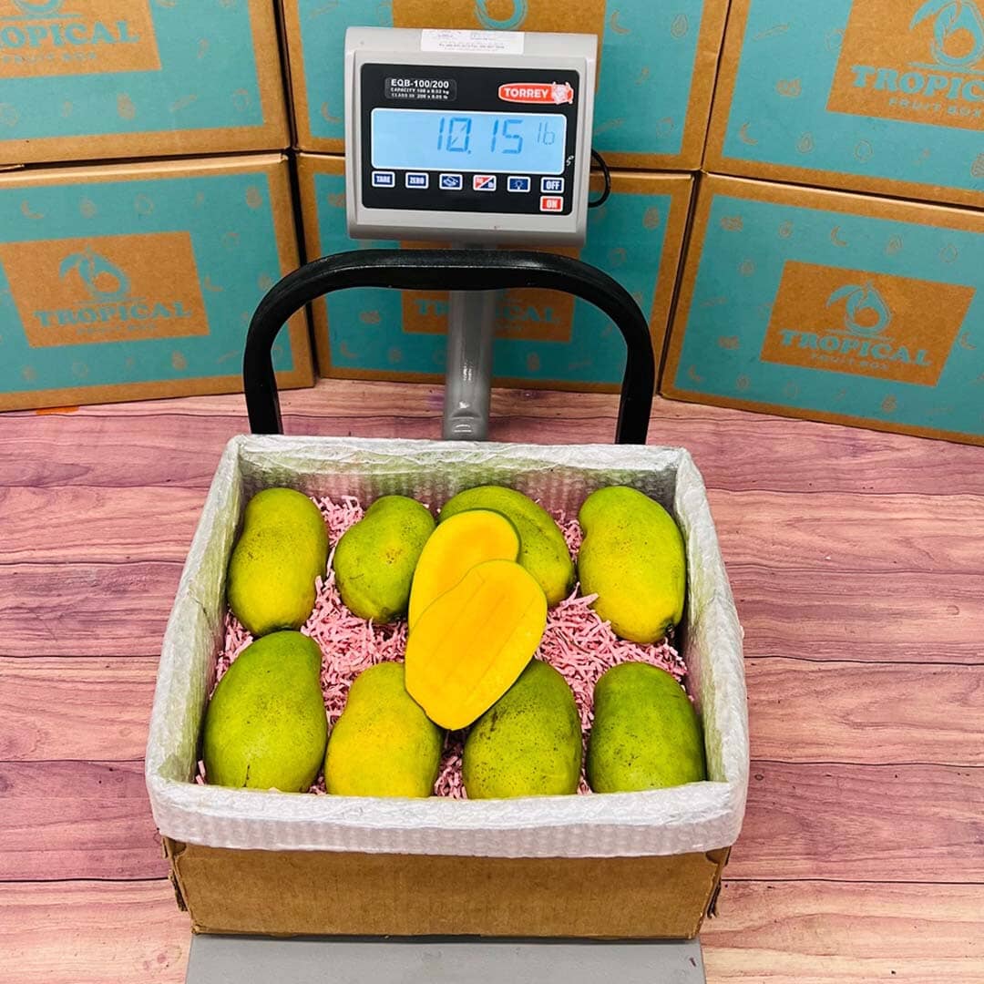 The Superb Francis Mango Box Produce Box Tropical Fruit Box 