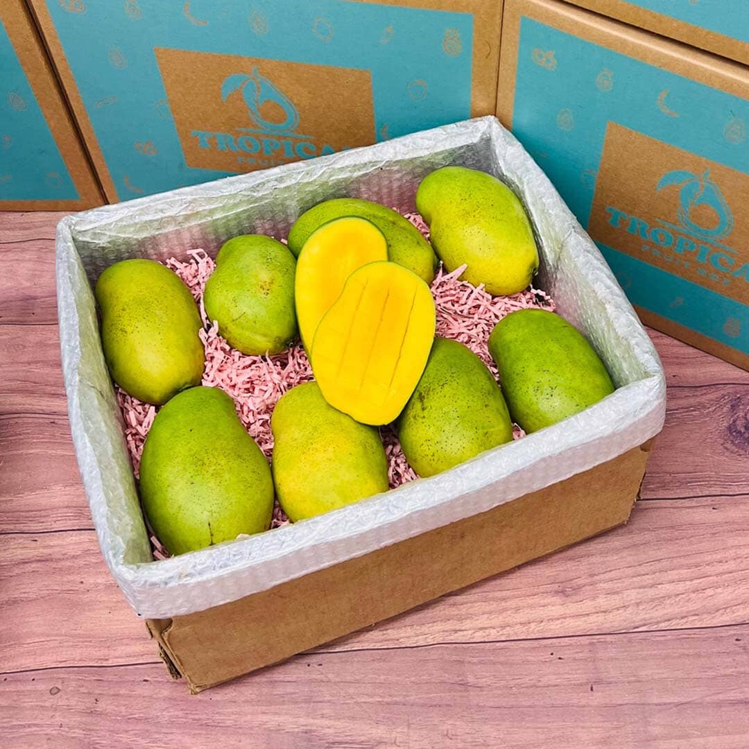 The Superb Francis Mango Box Produce Box Tropical Fruit Box Large (8 Pounds) 
