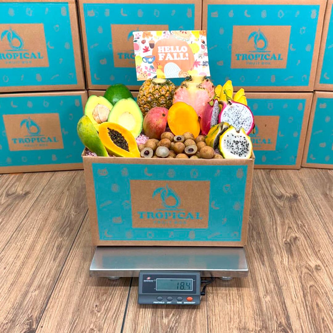 Taste the Tropics Fruit Box GoogleON Tropical Fruit Box 
