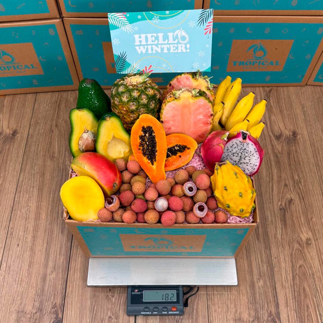 Taste the Tropics Fruit Box GoogleON Tropical Fruit Box 