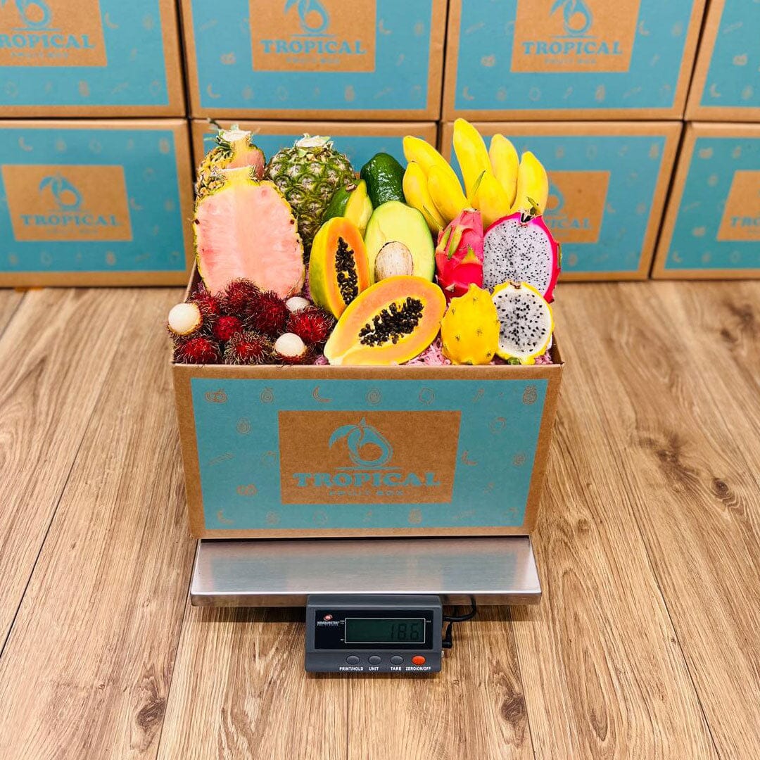 Taste the Tropics Fruit Box GoogleON Tropical Fruit Box 