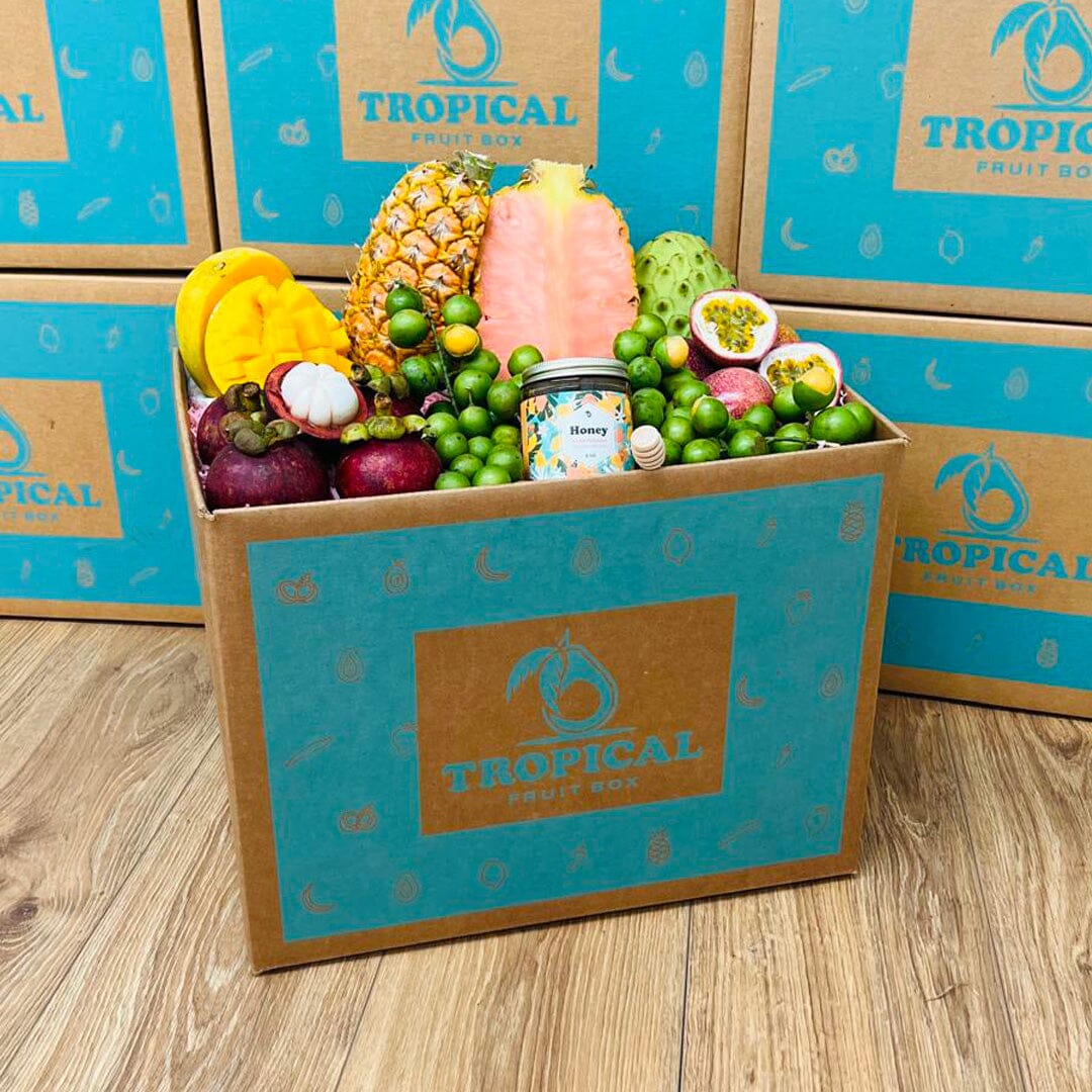Taste the Exotics Fruit Box GoogleON Tropical Fruit Box 