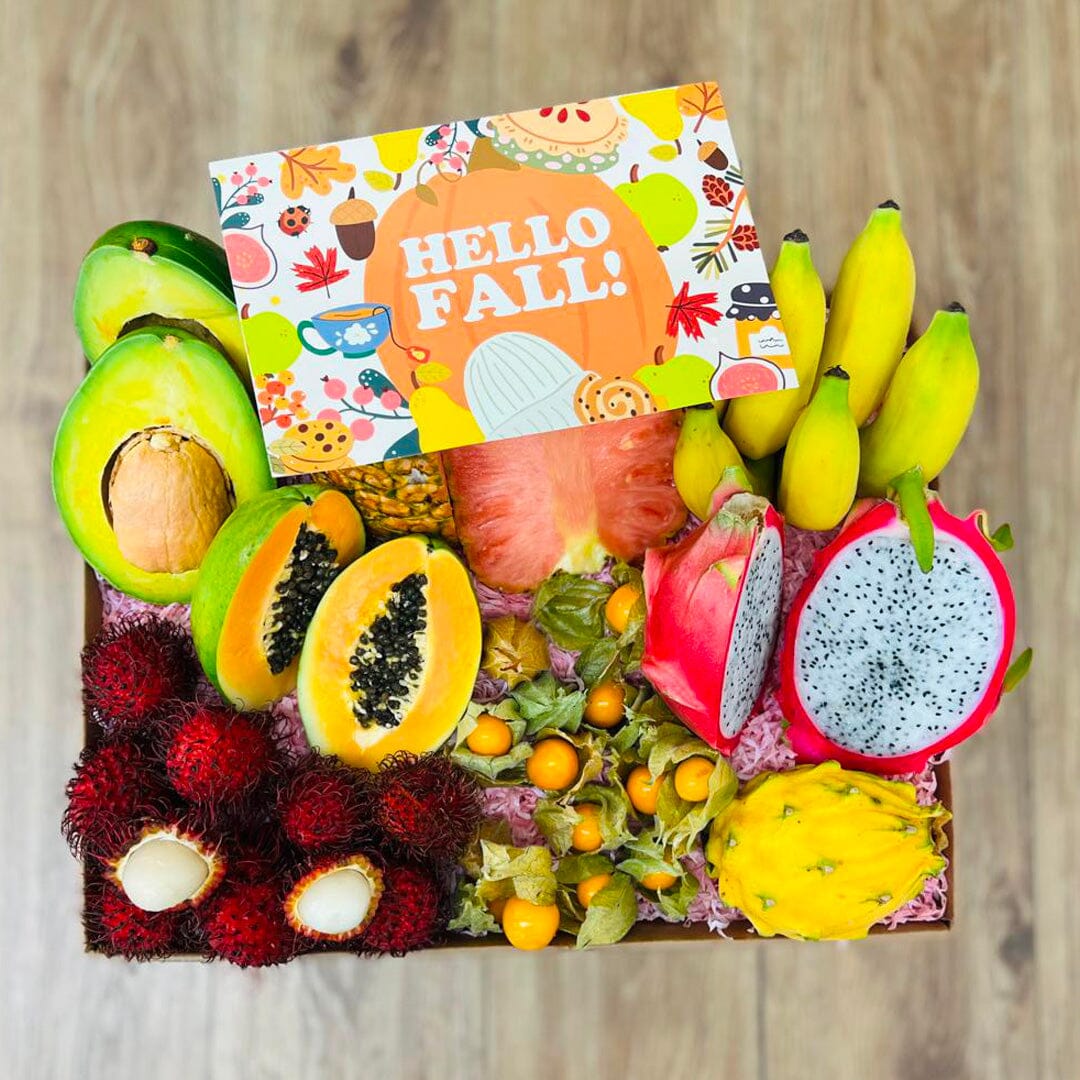 Taste the Tropics Fruit Box | A tropical and Exotic Fruit Variety Box - Tropical Fruit Box