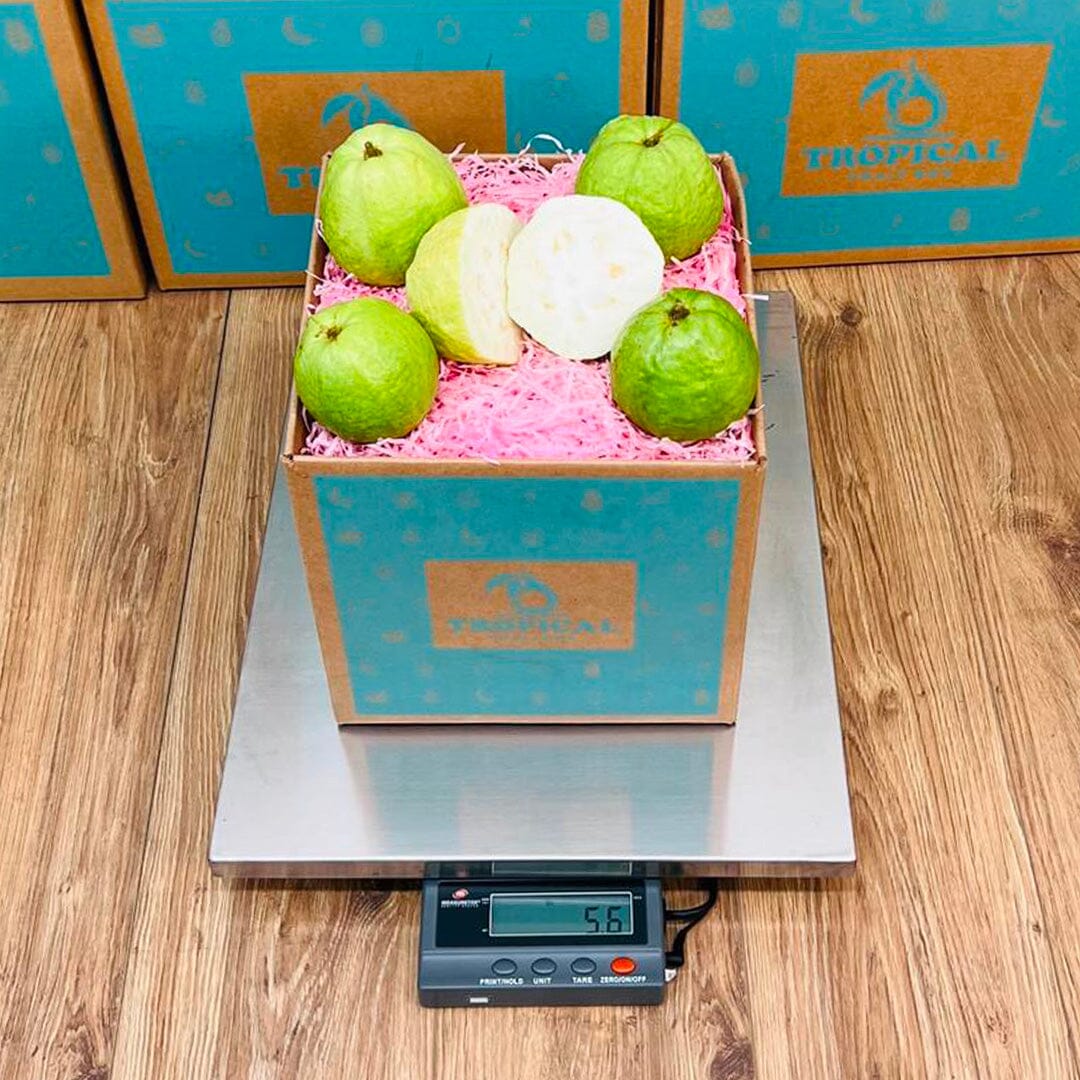 Fresh Tropical White Guava Box (Thai Guava) Produce Box Tropical Fruit Box 3 lbs