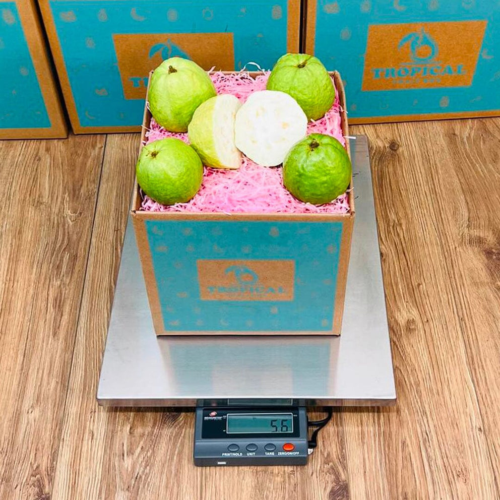 Fresh Guava Varieties Box | Guava Delivery