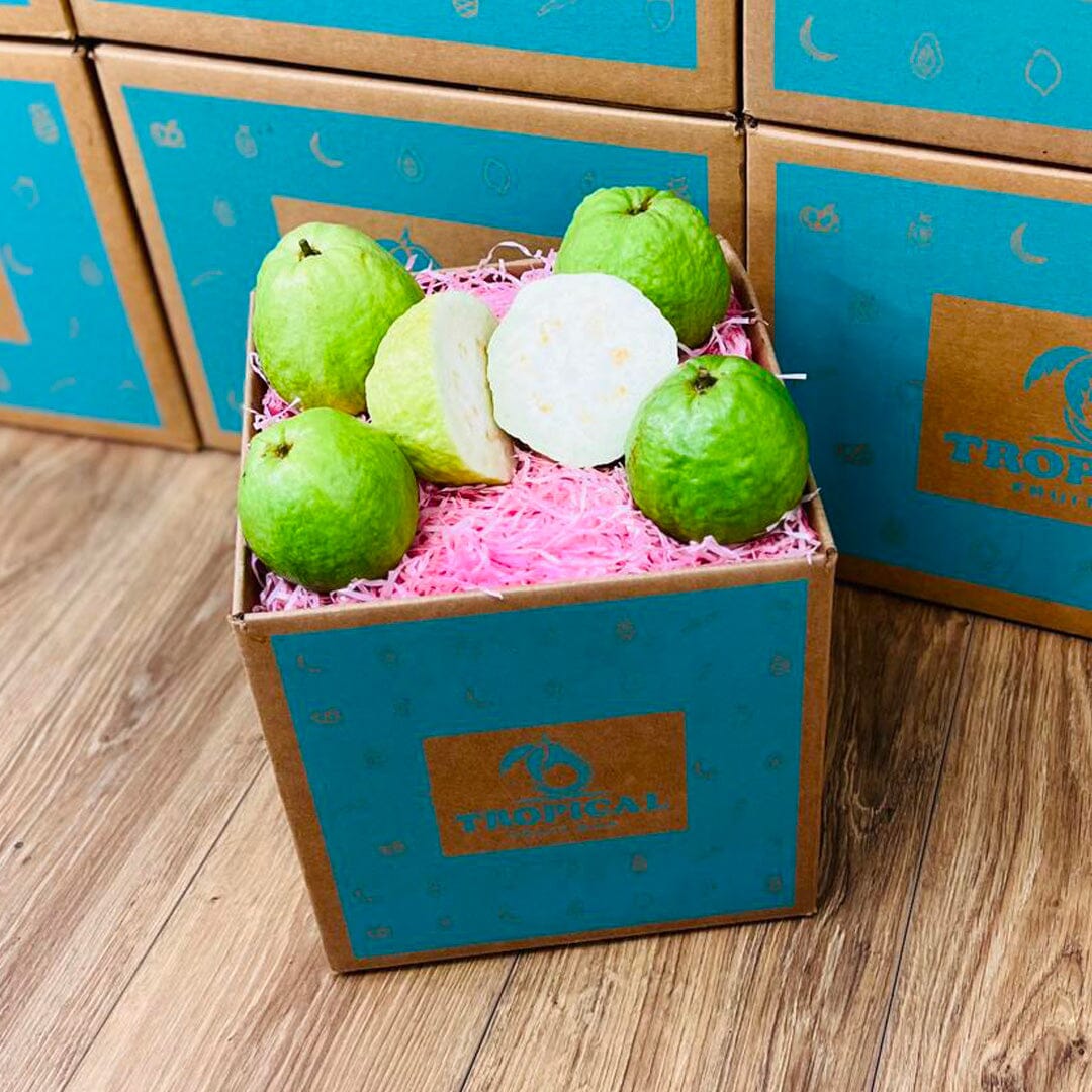 Fresh Tropical White Guava Box (Thai Guava) Produce Box Tropical Fruit Box 3 lbs 