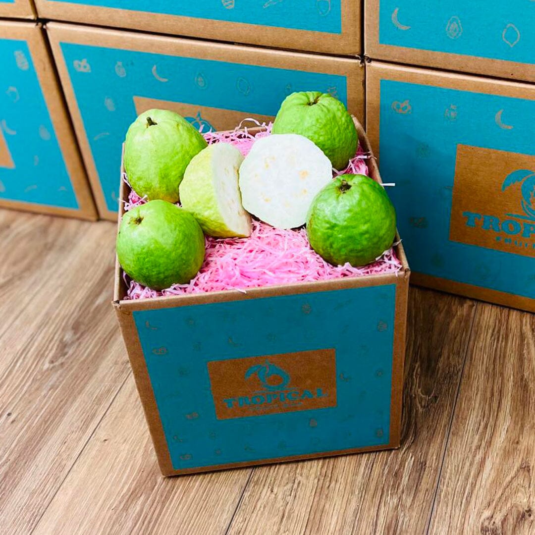 Guva Box White Guava - Get Fresh White Thai Guava from Tropical Fruit Box ...