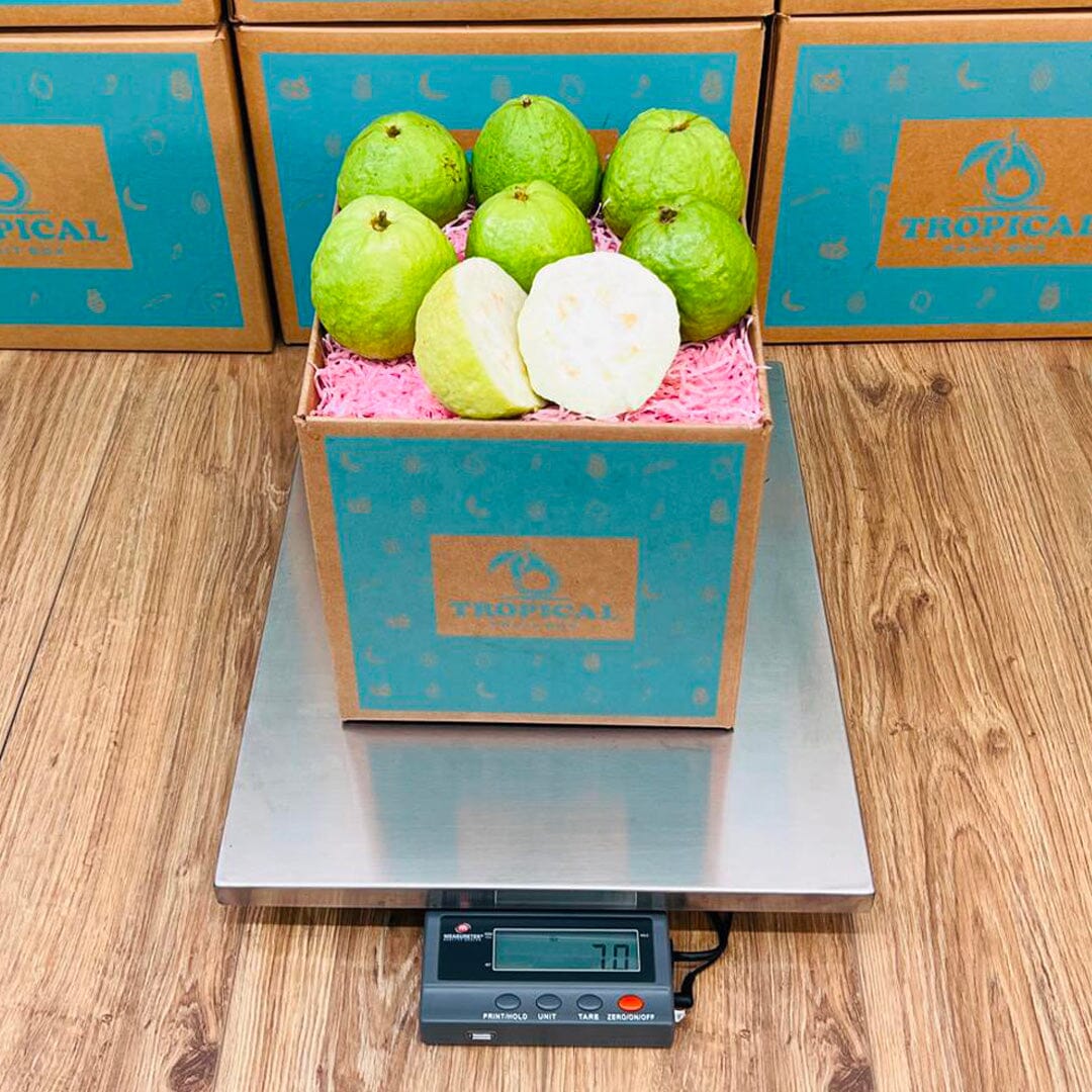 Fresh Tropical White Guava Box (Thai Guava) Produce Box Tropical Fruit Box 5 lbs 