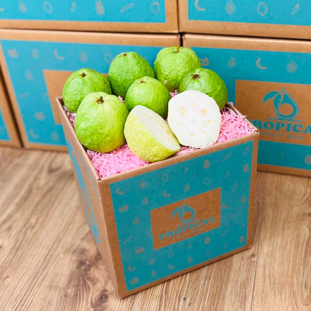 Fresh Tropical White Guava Box (Thai Guava) Produce Box Tropical Fruit Box 5 lbs