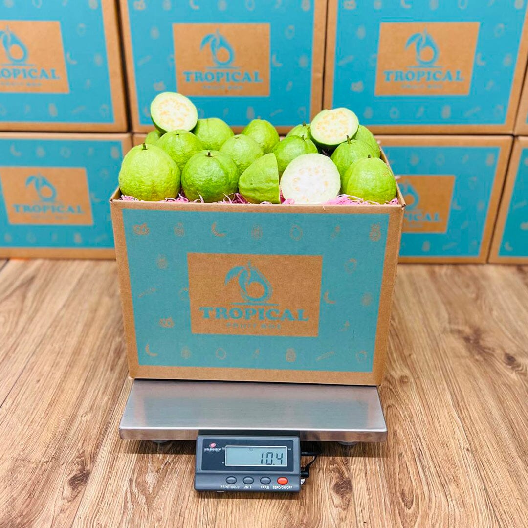 Guava Pack White Guava - Get Fresh White Thai Guava from Tropical Fruit Box ...