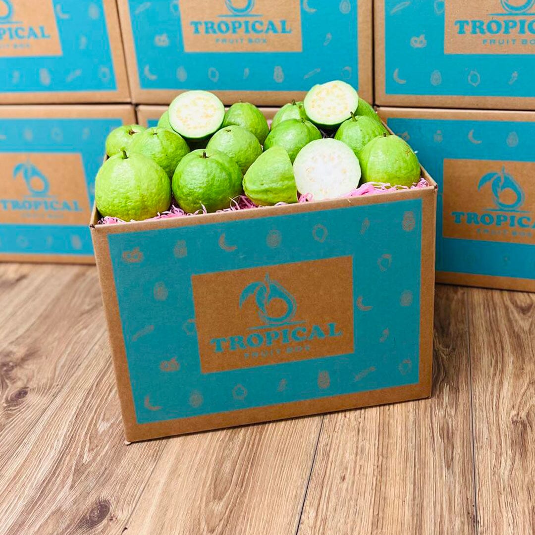 Fresh Tropical White Guava Box (Thai Guava) Produce Box Tropical Fruit Box 8 lbs